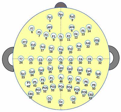 Domain knowledge-assisted multi-objective evolutionary algorithm for channel selection in brain-computer interface systems